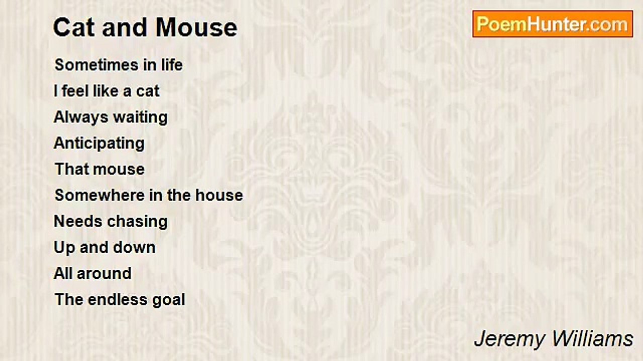 Jeremy Williams - Cat and Mouse