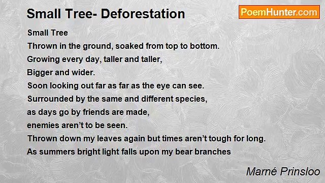 Marné Prinsloo - Small Tree- Deforestation