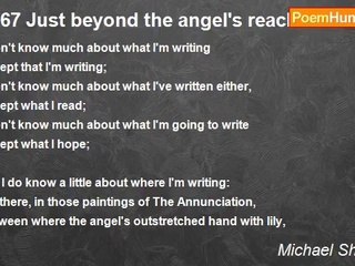 Michael Shepherd - 0167 Just beyond the angel's reach