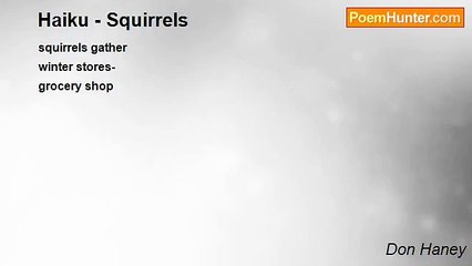 Don Haney - Haiku - Squirrels
