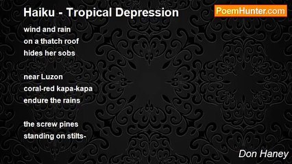 Don Haney - Haiku - Tropical Depression