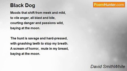 David SmithWhite - Black Dog