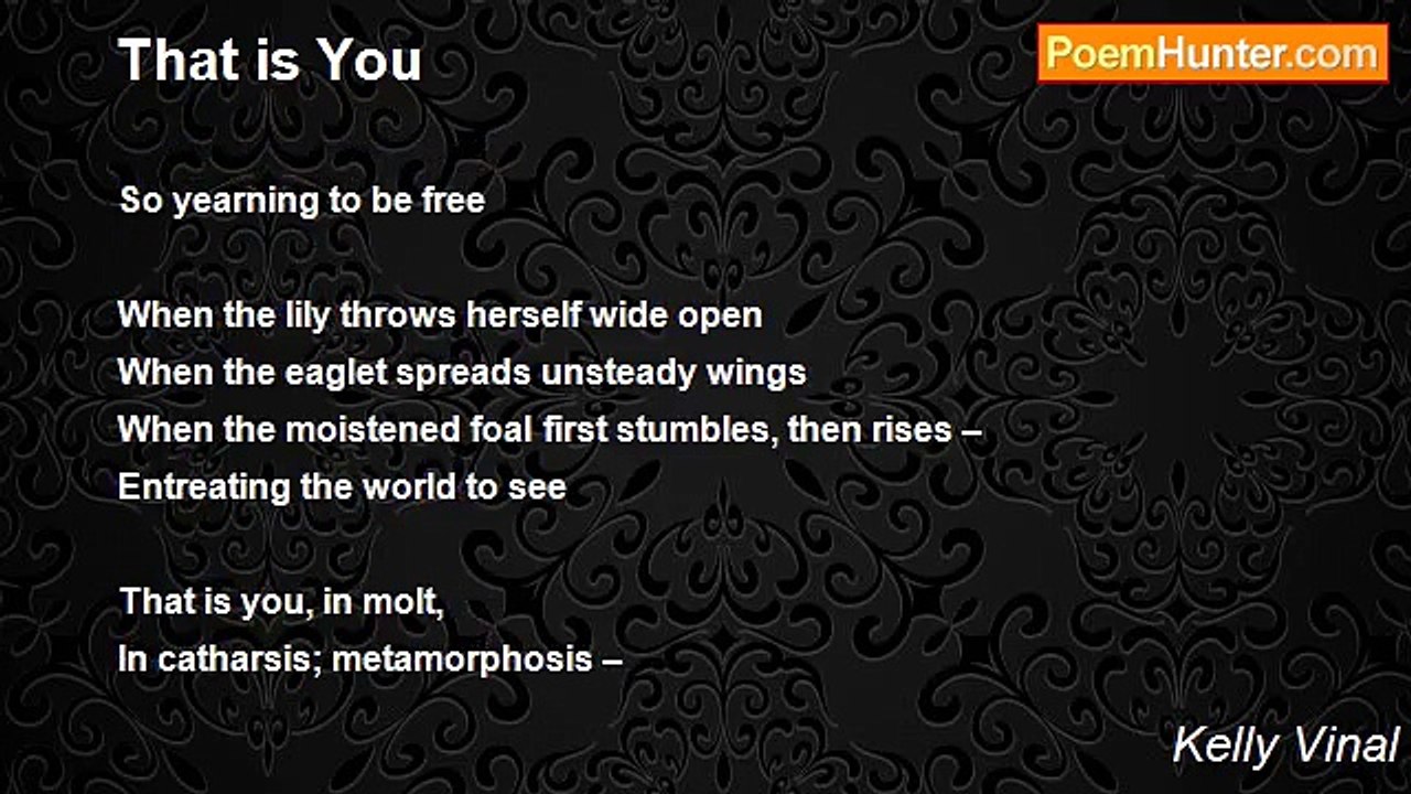 Kelly Vinal - That is You