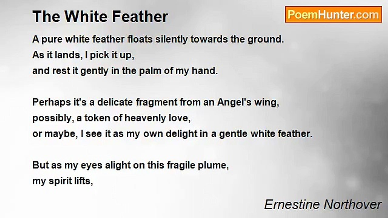 Ernestine Northover - The White Feather
