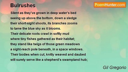 Gil Gregorio - Bulrushes