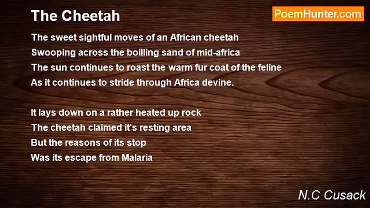 N.C Cusack - The Cheetah