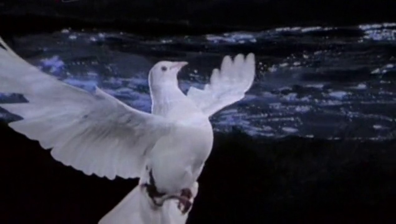 Toše Proeski ♥ ZAJDI, ZAJDI ♥ SET DOWN, SET DOWN BRIGHT SUN ~ Spot by Jelena Osijek HR