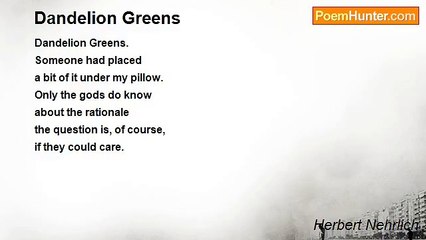 Herbert Nehrlich - Dandelion Greens