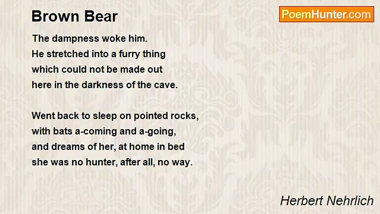 Herbert Nehrlich - Brown Bear