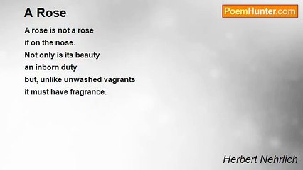 Herbert Nehrlich - A Rose