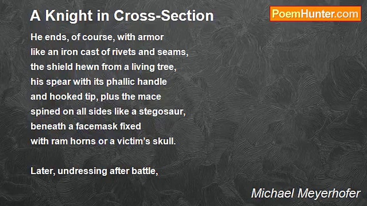 Michael Meyerhofer - A Knight in Cross-Section