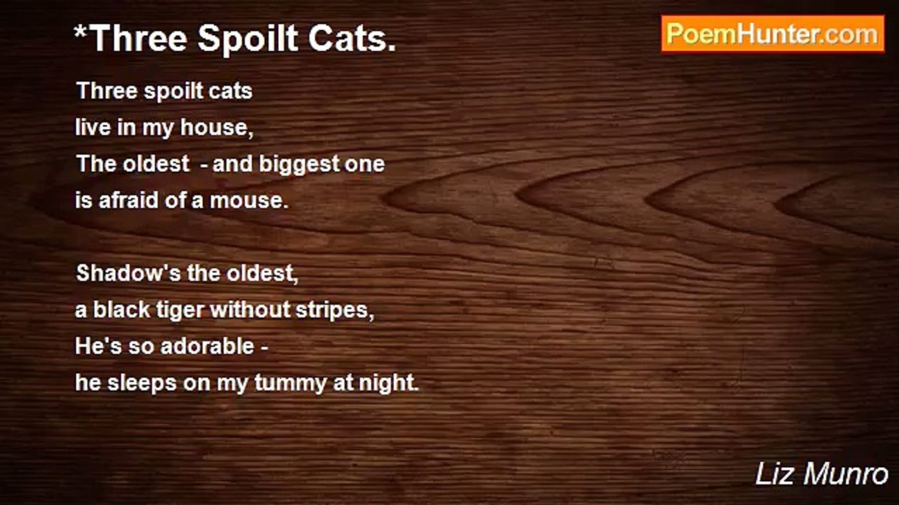 Liz Munro - *Three Spoilt Cats.