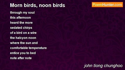john tiong chunghoo - Morn birds, noon birds