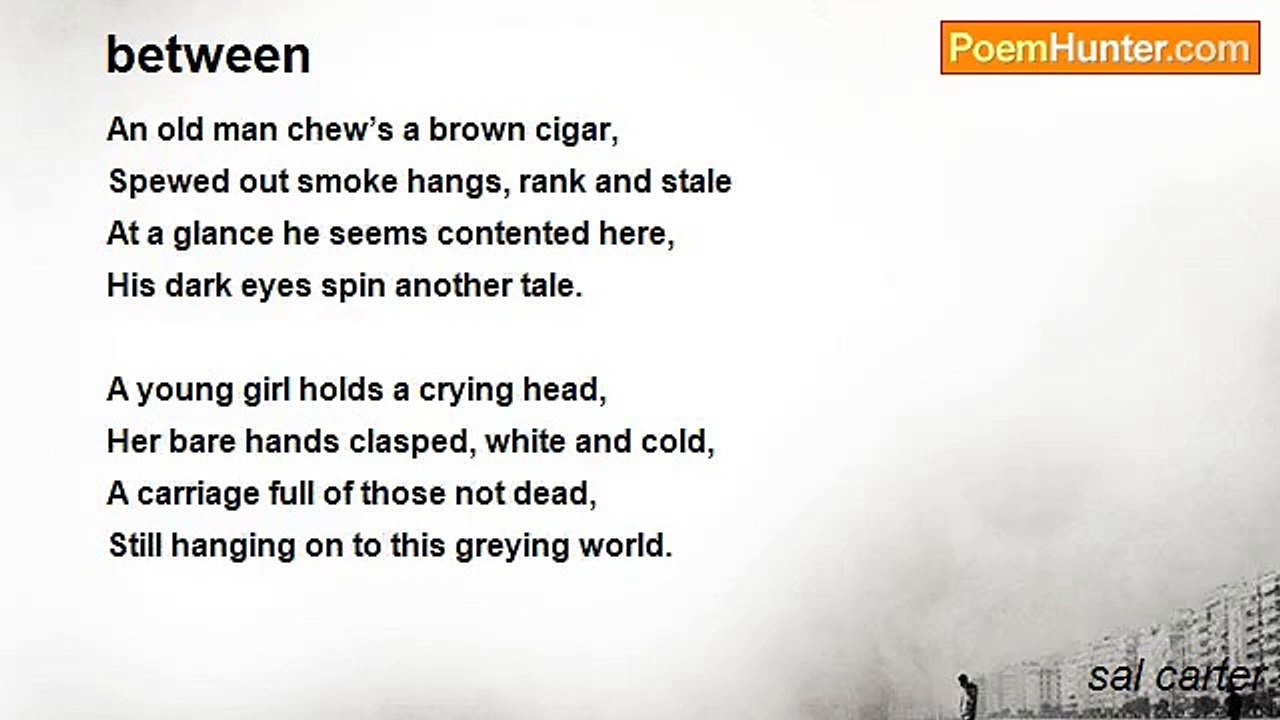 sal carter - between