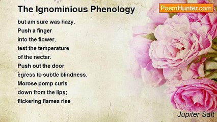 Jupiter Salt - The Ignominious Phenology