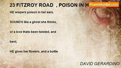 DAVID GERARDINO - 23 FITZROY ROAD  , POISON IN HERE EAR