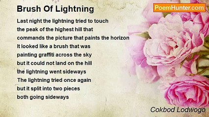 The Truth Serum: Lightning’s Brushstroke on the Horizon 🌩️