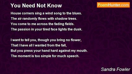 Sandra Fowler - You Need Not Know
