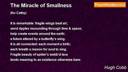 Hugh Cobb - The Miracle of Smallness