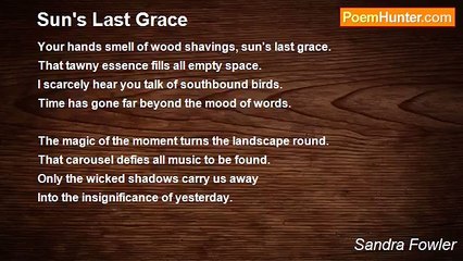 Sandra Fowler - Sun's Last Grace