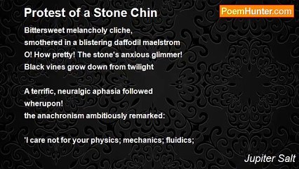 Jupiter Salt - Protest of a Stone Chin