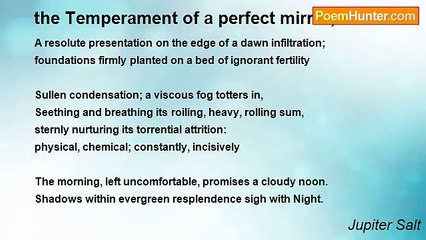 Jupiter Salt - the Temperament of a perfect mirror, skewed
