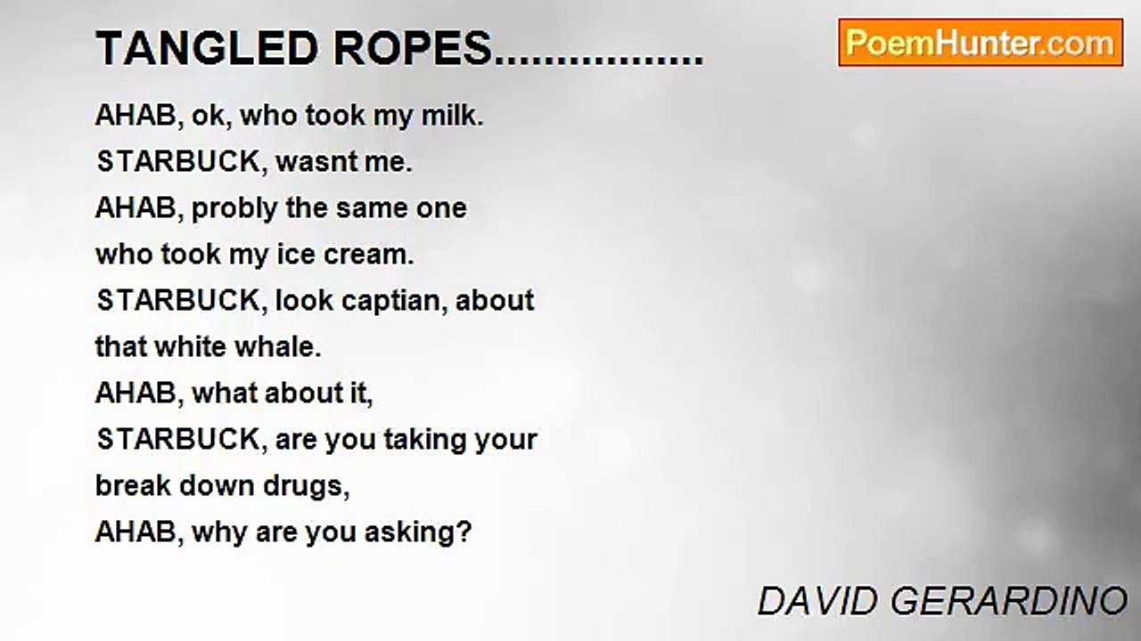DAVID GERARDINO - TANGLED ROPES.................