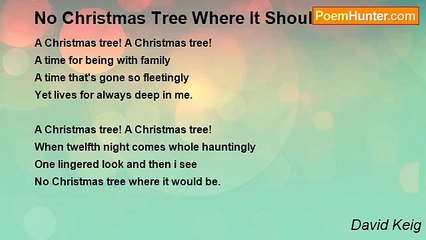 David Keig - No Christmas Tree Where It Should Be