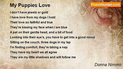 Donna Nimmo - My Puppies Love