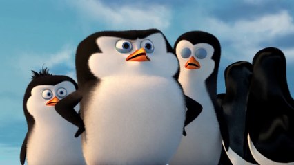 Video herunterladen: Os Pinguins de Madagascar - Trailer Final