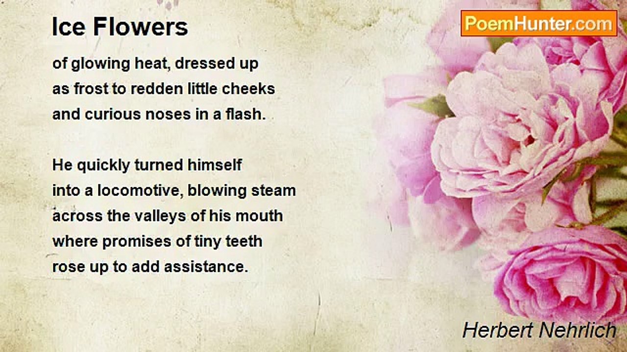 Herbert Nehrlich - Ice Flowers