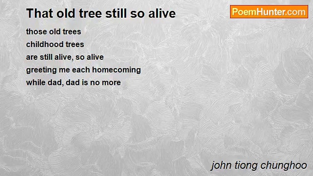 john tiong chunghoo - That old tree still so alive