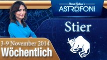 Stier, Wöchentliches Horoskop,  3-9 November 2014