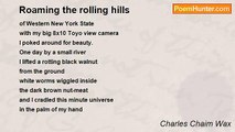 Charles Chaim Wax - Roaming the rolling hills
