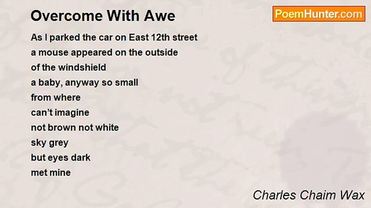 Charles Chaim Wax - Overcome With Awe