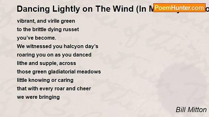 Bill Mitton - Dancing Lightly on The Wind (In Memory of George Best)