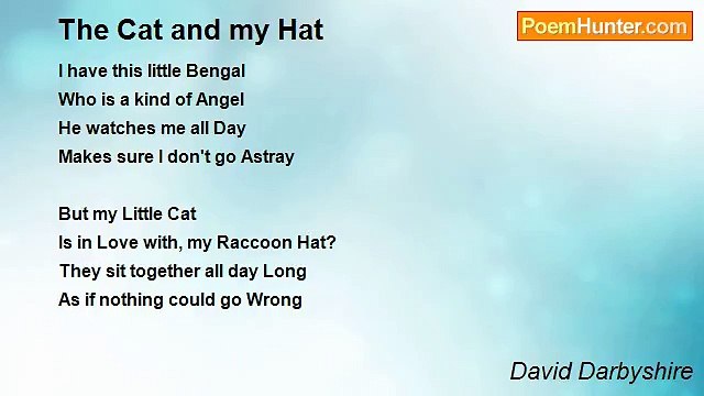 David Darbyshire - The Cat and my Hat