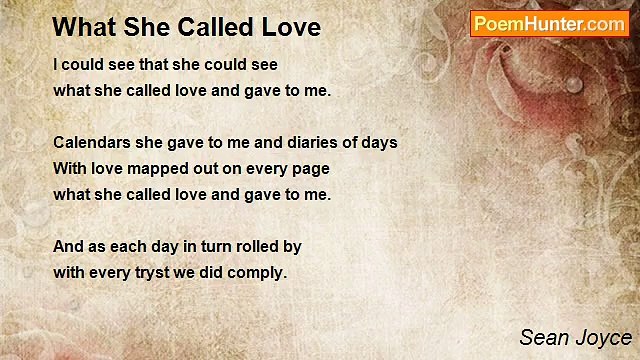 Sean Joyce - What She Called Love