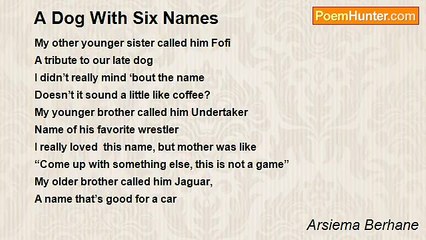 Arsiema Berhane - A Dog With Six Names