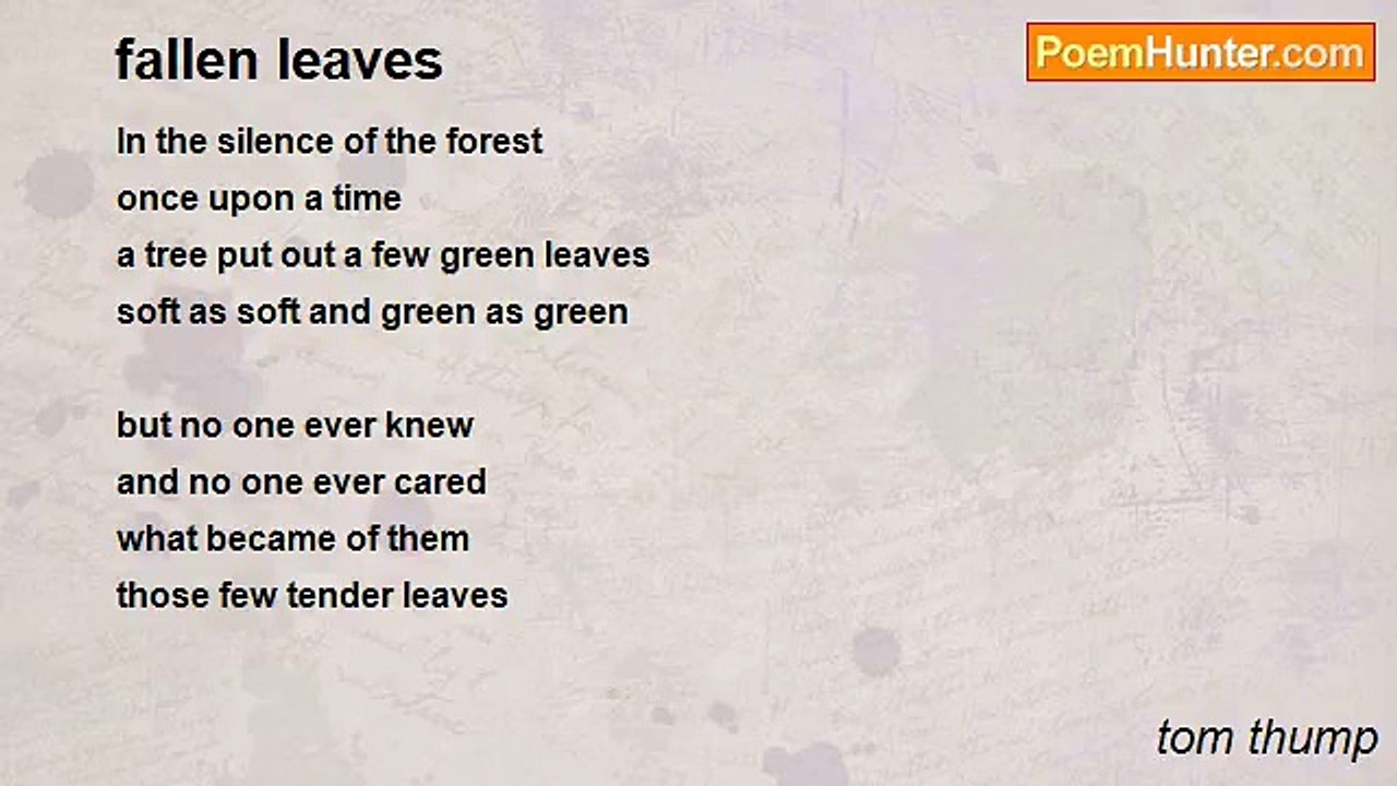 tom thump - fallen leaves
