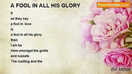 Bill Mitton - A FOOL IN ALL HIS GLORY