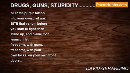 DAVID GERARDINO - DRUGS, GUNS, STUPIDITY...........................01