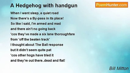 Bill Mitton - A Hedgehog with handgun
