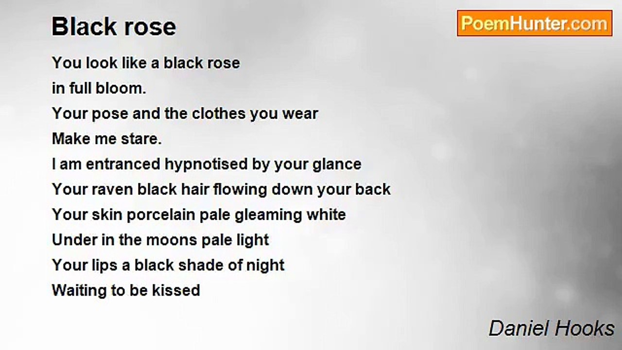 Daniel Hooks - Black rose