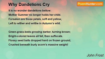 John Frost - Why Dandelions Cry