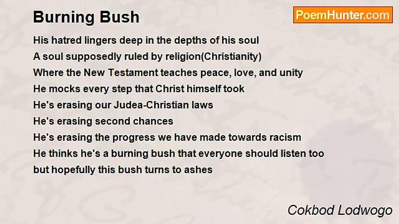 Theorem The Truth Serum - Burning Bush