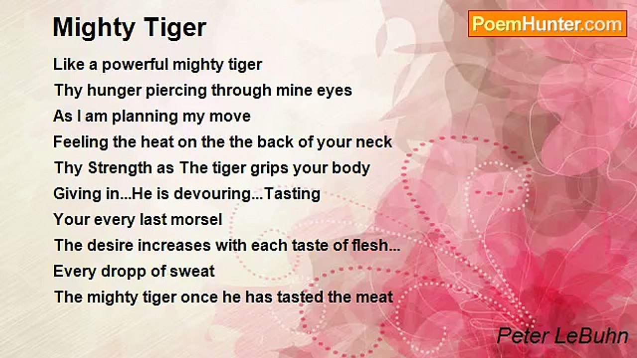 Peter LeBuhn - Mighty Tiger