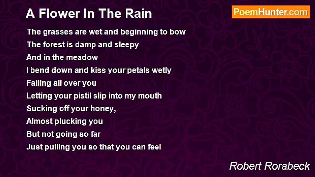 Robert Rorabeck - A Flower In The Rain