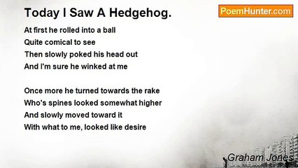 Graham Jones - Today I Saw A Hedgehog.