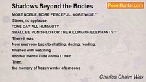 Charles Chaim Wax - Shadows Beyond the Bodies